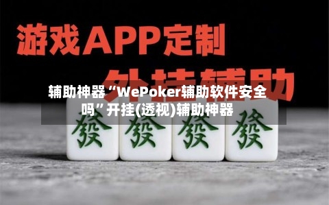 辅助神器“WePoker辅助软件安全吗”开挂(透视)辅助神器-第2张图片