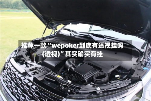 推荐一款“wepoker到底有透视挂吗(透视)”其实确实有挂-第1张图片