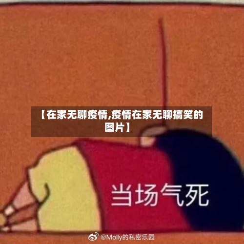 【在家无聊疫情,疫情在家无聊搞笑的图片】