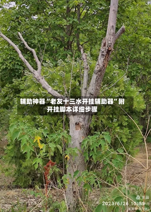 辅助神器“老友十三水开挂辅助器”附开挂脚本详细步骤