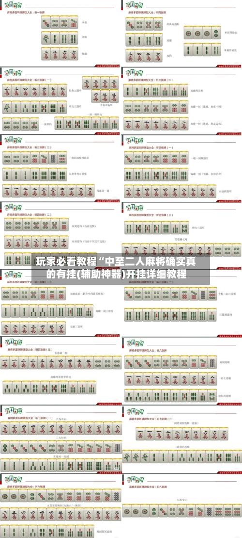 玩家必看教程“中至二人麻将确实真的有挂(辅助神器)开挂详细教程