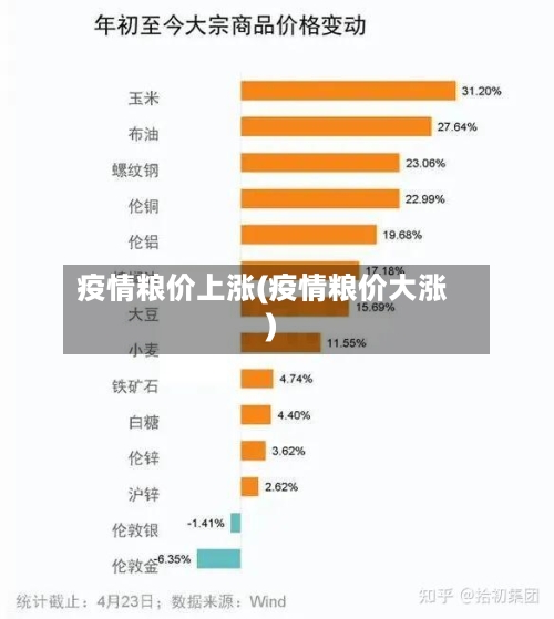 疫情粮价上涨(疫情粮价大涨)