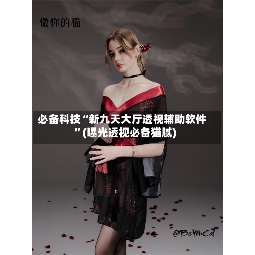 必备科技“新九天大厅透视辅助软件”(曝光透视必备猫腻)
