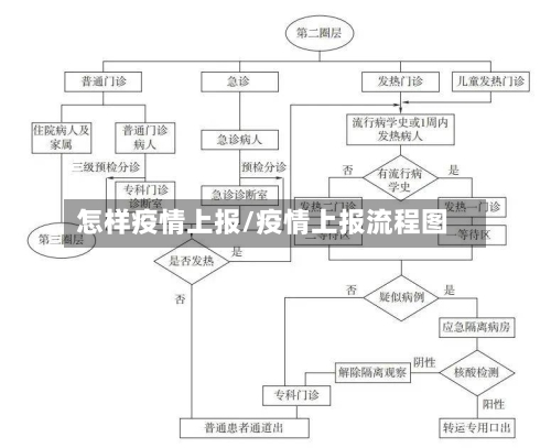 怎样疫情上报/疫情上报流程图