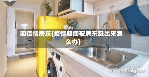 因疫情房东(疫情期间被房东赶出来怎么办)-第1张图片