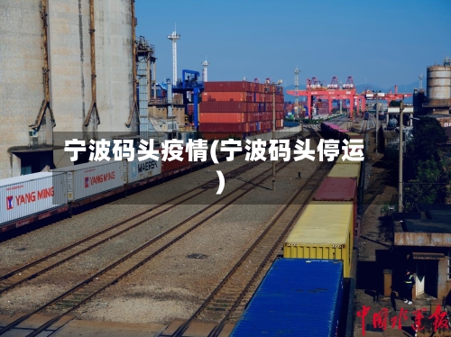 宁波码头疫情(宁波码头停运)-第1张图片