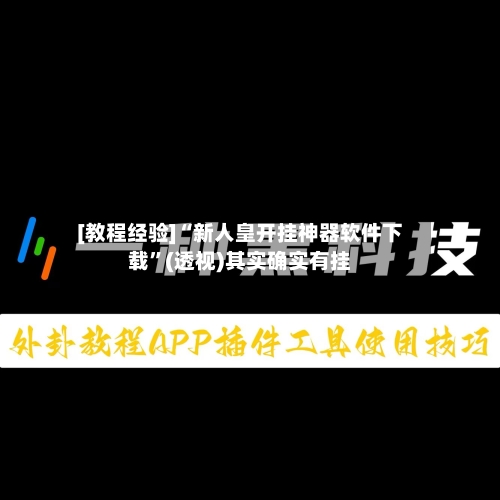 [教程经验]“新人皇开挂神器软件下载”(透视)其实确实有挂-第2张图片