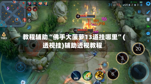 教程辅助“佛手大菠萝13道挂哪里”(透视挂)辅助透视教程-第1张图片