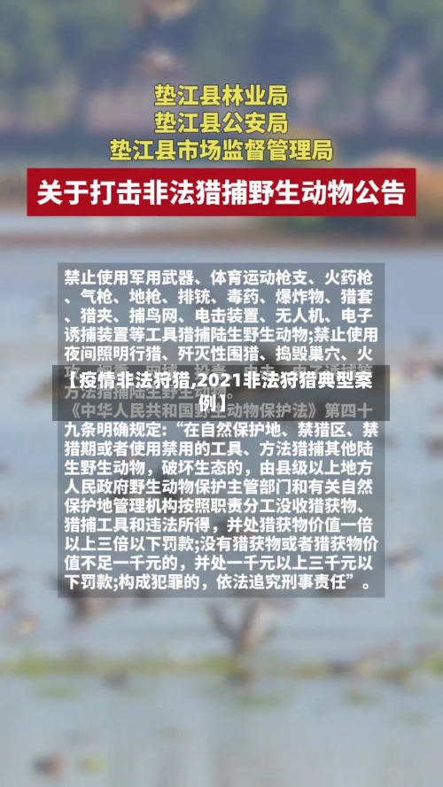 【疫情非法狩猎,2021非法狩猎典型案例】-第2张图片