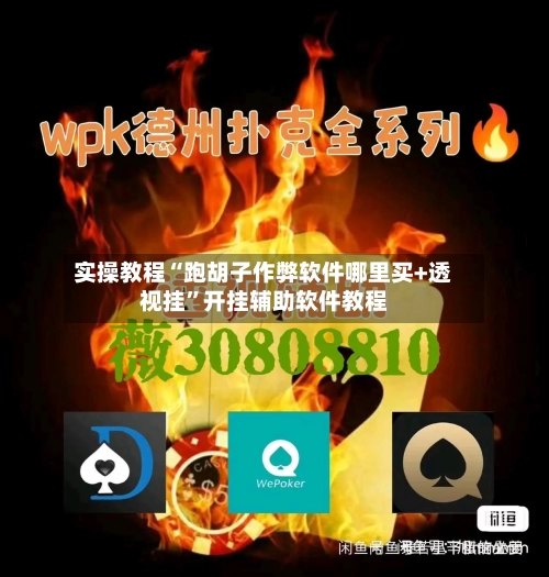 实操教程“跑胡子作弊软件哪里买+透视挂	”开挂辅助软件教程-第1张图片