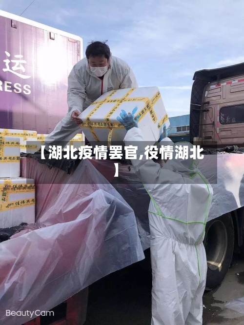 【湖北疫情罢官,役情湖北】-第1张图片