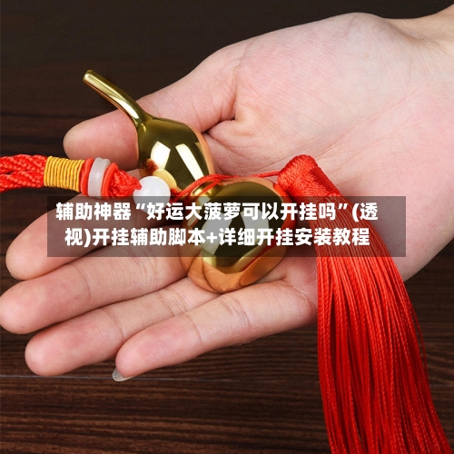 辅助神器“好运大菠萝可以开挂吗”(透视)开挂辅助脚本+详细开挂安装教程-第1张图片