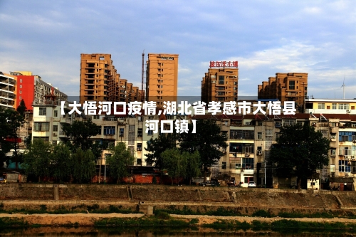 【大悟河口疫情,湖北省孝感市大悟县河口镇】-第1张图片