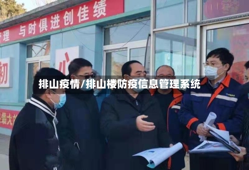 排山疫情/排山楼防疫信息管理系统-第1张图片