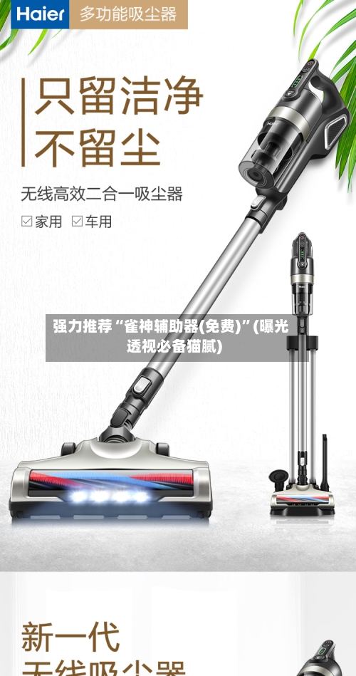 强力推荐“雀神辅助器(免费)”(曝光透视必备猫腻)-第2张图片