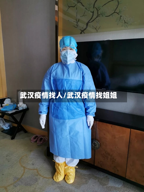 武汉疫情找人/武汉疫情找姐姐-第1张图片