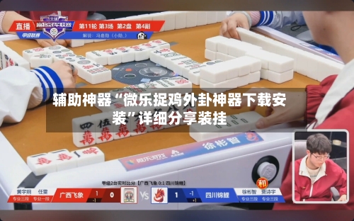 辅助神器“微乐捉鸡外卦神器下载安装”详细分享装挂-第3张图片