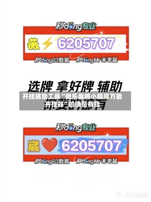 开挂辅助工具“微乐麻将小程序万能开挂器	”的确是有挂-第2张图片