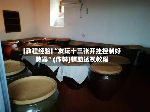 [教程经验]“友玩十三张开挂控制好牌器	”(作弊)辅助透视教程-第2张图片