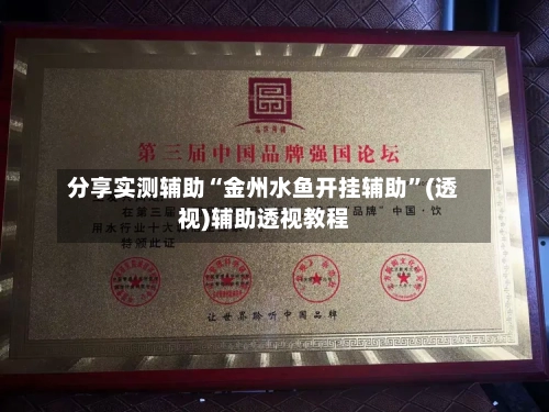 分享实测辅助“金州水鱼开挂辅助”(透视)辅助透视教程