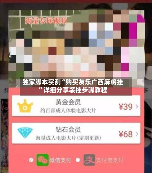 独家脚本实测“购买友乐广西麻将挂”详细分享装挂步骤教程