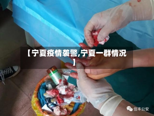 【宁夏疫情袭警,宁夏一群情况】-第2张图片