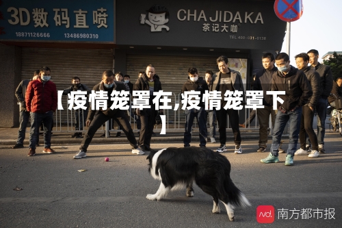 【疫情笼罩在,疫情笼罩下】