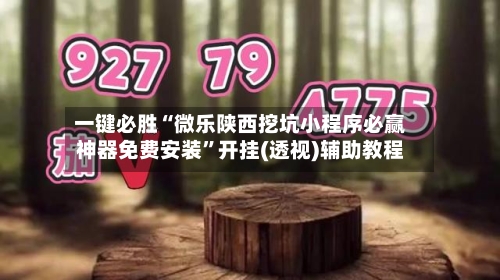 一键必胜“微乐陕西挖坑小程序必赢神器免费安装”开挂(透视)辅助教程-第2张图片