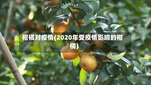 柑橘对疫情(2020年受疫情影响的柑橘)-第2张图片