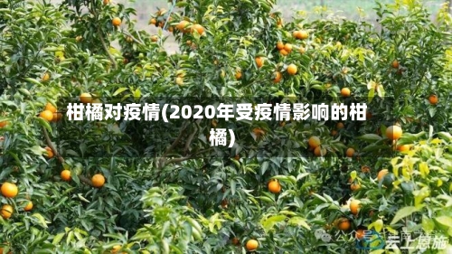 柑橘对疫情(2020年受疫情影响的柑橘)-第3张图片
