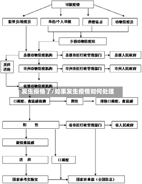 发生疫情了/如果发生疫情如何处理-第2张图片