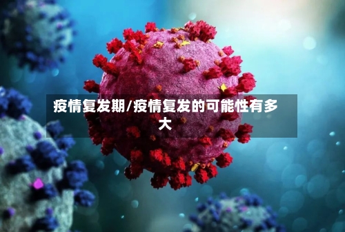 疫情复发期/疫情复发的可能性有多大