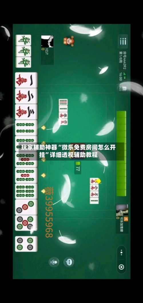 玩家辅助神器“微乐免费房间怎么开挂”详细透视辅助教程