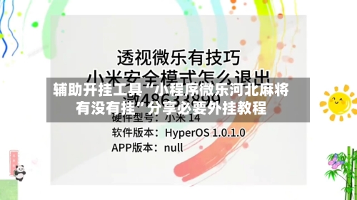 辅助开挂工具“小程序微乐河北麻将有没有挂”分享必要外挂教程-第2张图片