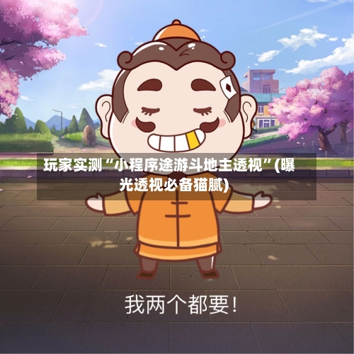 玩家实测“小程序途游斗地主透视”(曝光透视必备猫腻)