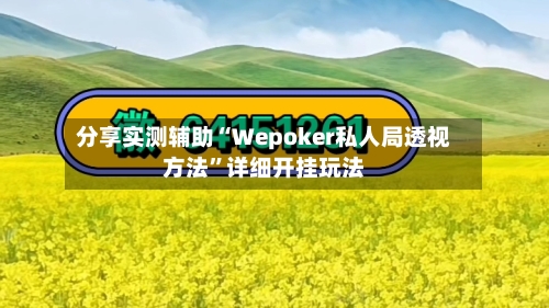 分享实测辅助“Wepoker私人局透视方法”详细开挂玩法
