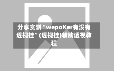 分享实测“wepoKer有没有透视挂”(透视挂)辅助透视教程