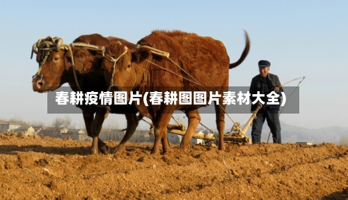 春耕疫情图片(春耕图图片素材大全)-第3张图片