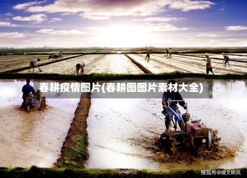 春耕疫情图片(春耕图图片素材大全)-第2张图片