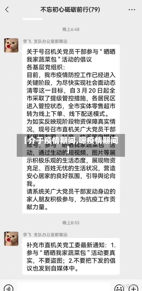 【介于疫情期间,嗯疫情期间】-第2张图片