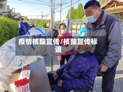 疫情核酸宣传/核酸宣传标语