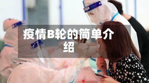 疫情B轮的简单介绍-第2张图片