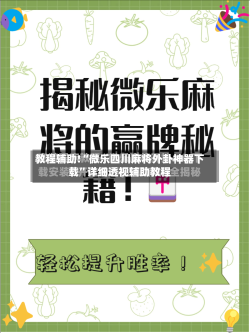 教程辅助!“微乐四川麻将外卦神器下载	”详细透视辅助教程-第2张图片
