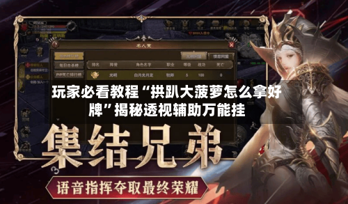 玩家必看教程“拱趴大菠萝怎么拿好牌”揭秘透视辅助万能挂-第2张图片
