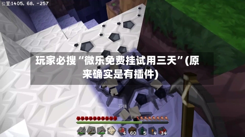 玩家必搜“微乐免费挂试用三天”(原来确实是有插件)-第2张图片