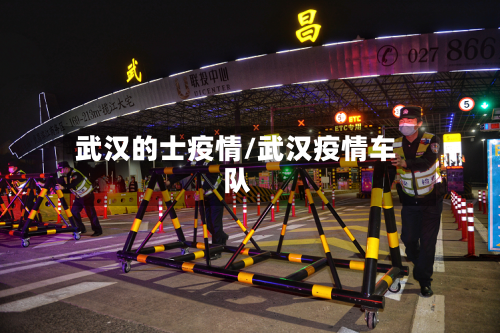 武汉的士疫情/武汉疫情车队-第2张图片