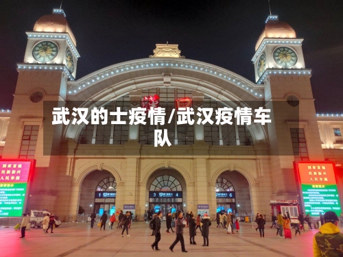 武汉的士疫情/武汉疫情车队-第1张图片