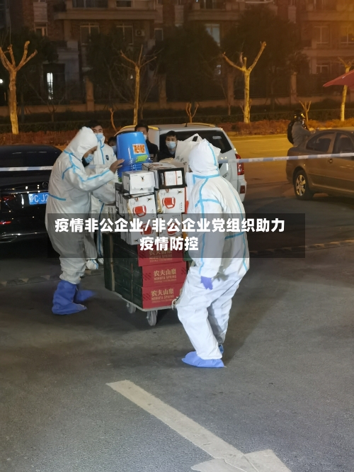 疫情非公企业/非公企业党组织助力疫情防控-第2张图片