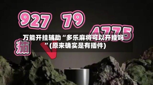 万能开挂辅助“多乐麻将可以开挂吗”(原来确实是有插件)-第2张图片