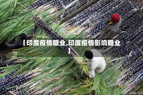 【印度疫情糖业,印度疫情影响糖业】-第1张图片